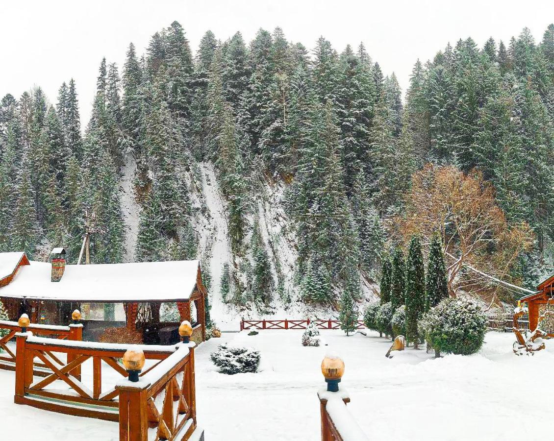 Forest House Татарив Екстериор снимка