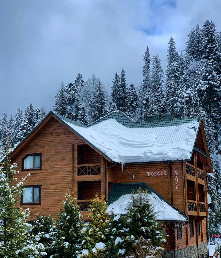 Forest House Татарив Екстериор снимка