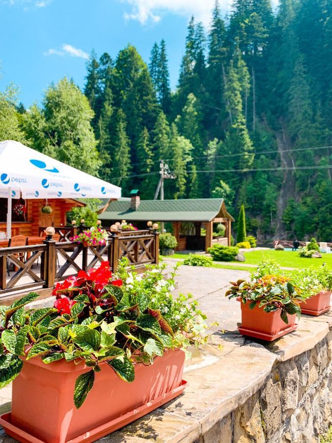 Forest House Татарив Екстериор снимка